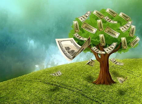 money-tree