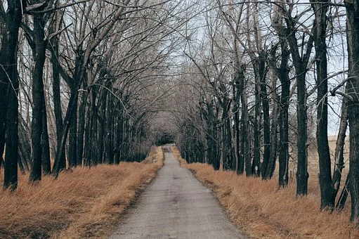 road-to-destination
