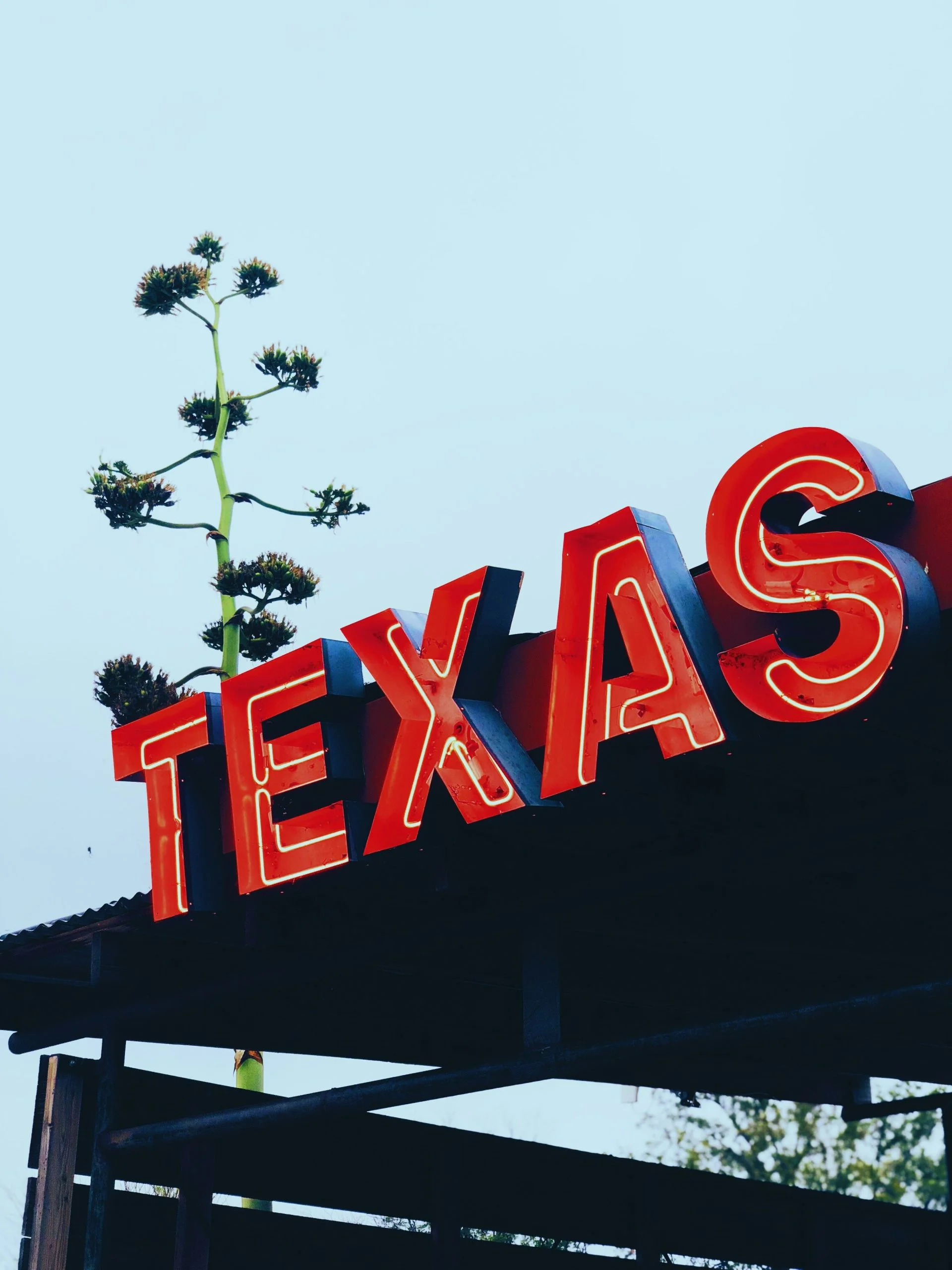Best SEO Companies in Texas