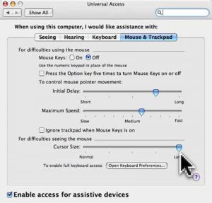 universal-access-system-preference