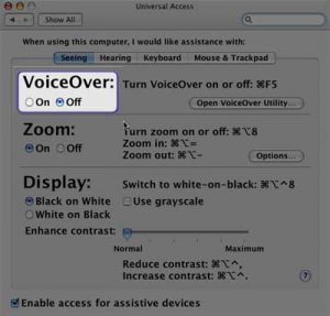 omnidazzle-universal-access-preference-pane