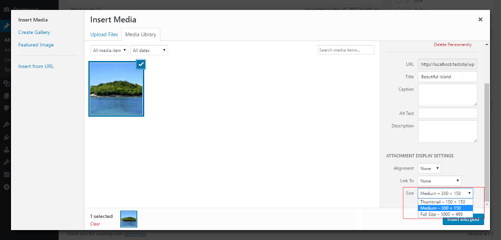 Image Size In WordPress